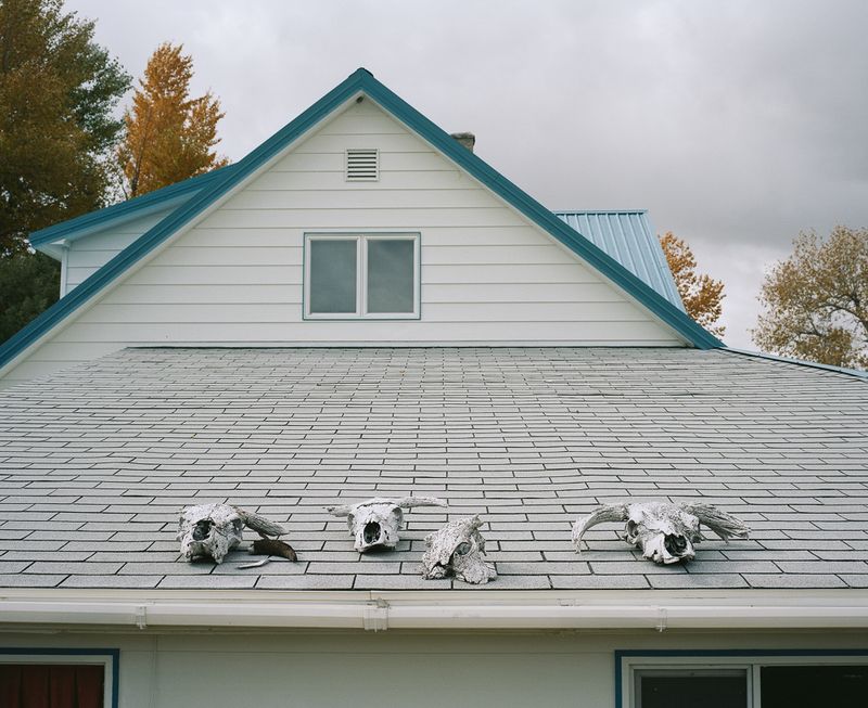 © Katrina D'autremont - Image from the The Other Mountain photography project