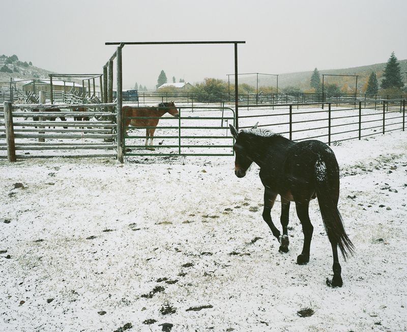 © Katrina D'autremont - Image from the The Other Mountain photography project