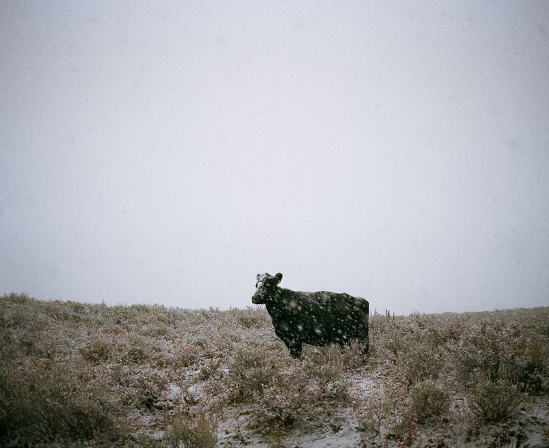 © Katrina D'autremont - Image from the The Other Mountain photography project