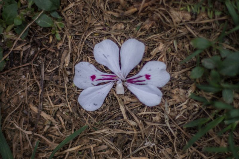 © Lesly Moyano - Image from the Memento Mori photography project