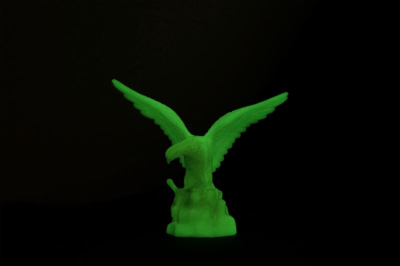 © Ira Thiessen - The shining eagle, Photography, Digital Fine Art Baryta, 70 x 100 cm