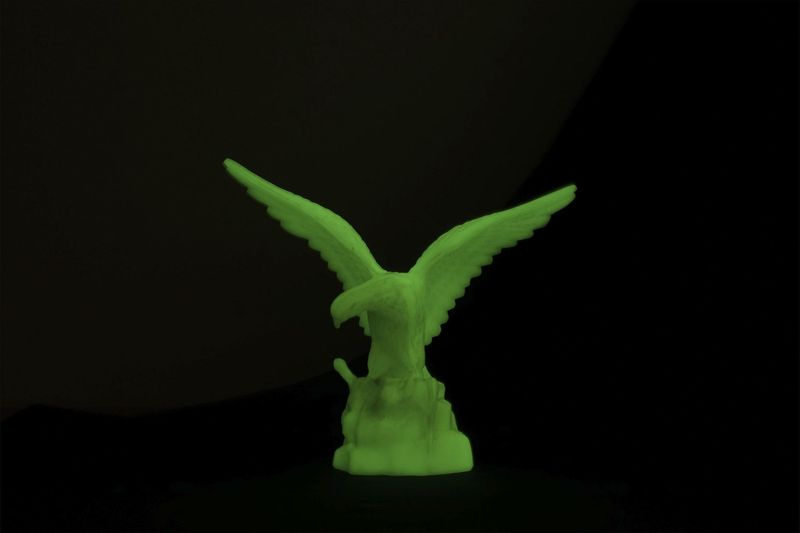 © Ira Thiessen - The shining eagle, Photography, Digital Fine Art Baryta, 70 x 100 cm