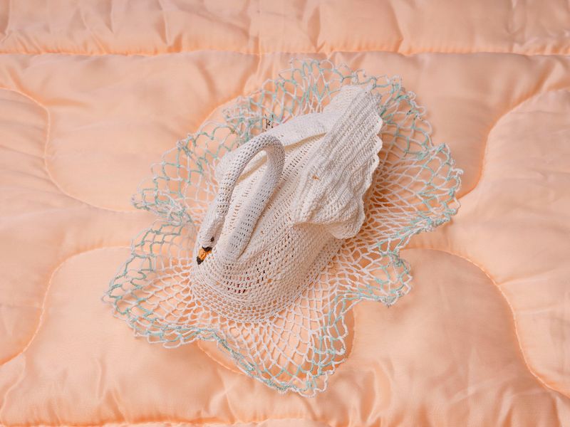 © Ira Thiessen - The swan, Photography, Digital Fine Art Baryta, 60 x 80 cm