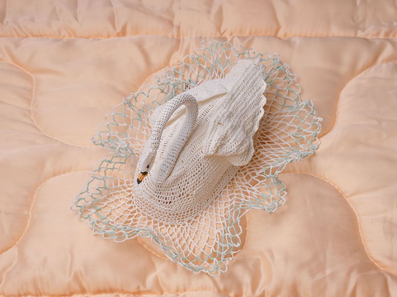 © Ira Thiessen - The swan, Photography, Digital Fine Art Baryta, 60 x 80 cm