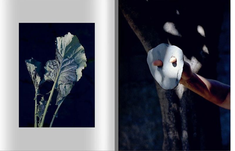 Image from a project on PhMuseum