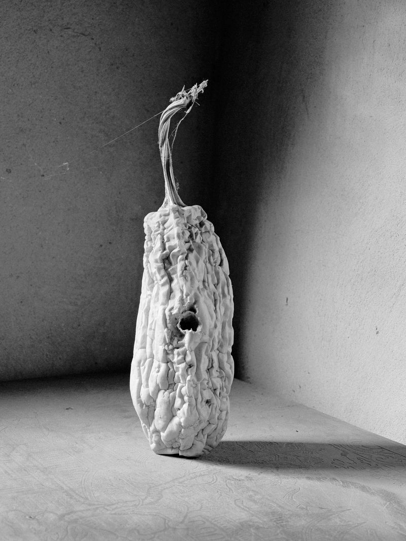 Image from a project on PhMuseum