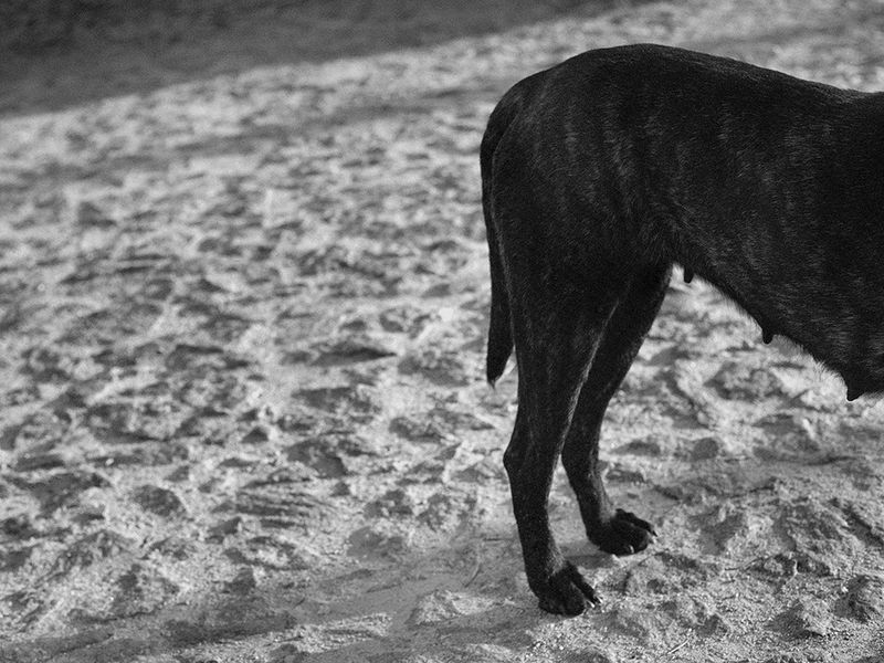 © Maria Oliveira - Image from the Saving fire for darker days photography project