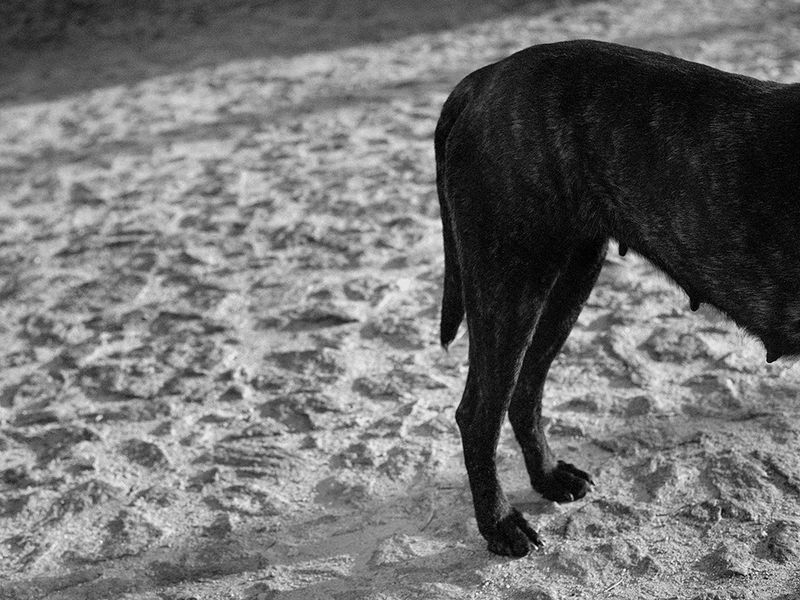 © Maria Oliveira - Image from the Saving fire for darker days photography project