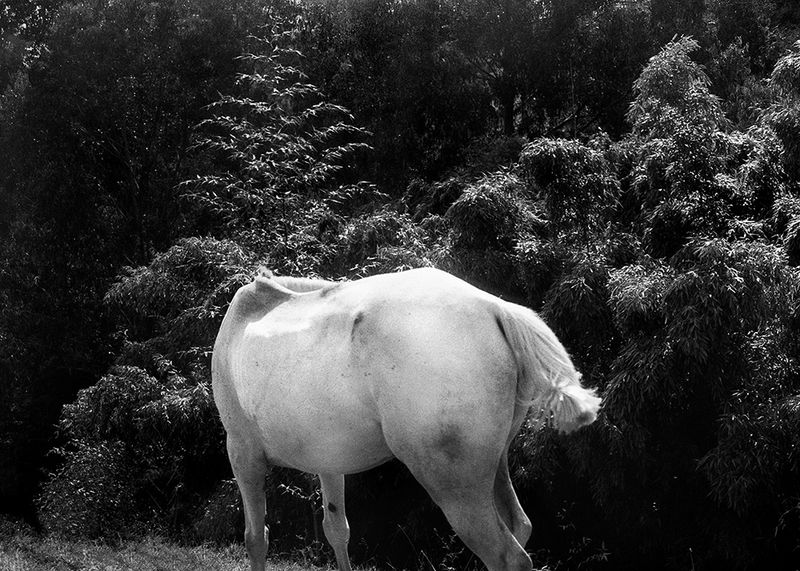 © Maria Oliveira - Image from the Saving fire for darker days photography project