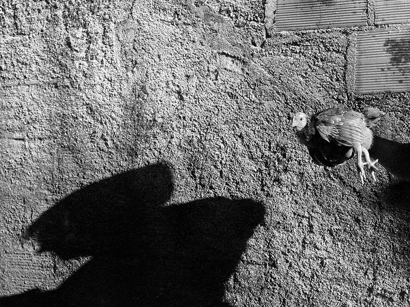 © Maria Oliveira - Image from the Saving fire for darker days photography project