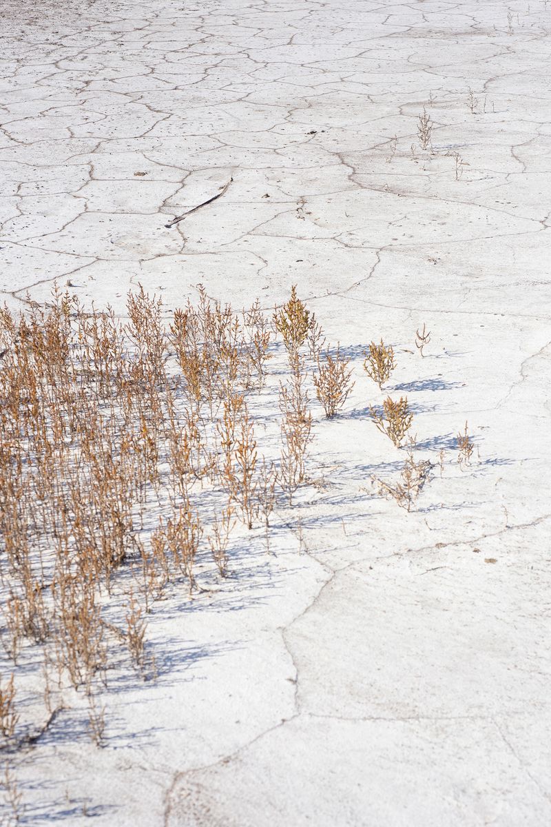 © Maria Oliveira - Image from the To Wander the Sea photography project