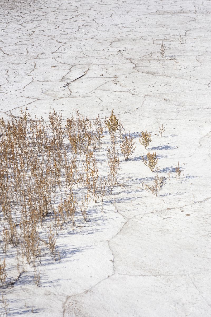 © Maria Oliveira - Image from the To Wander the Sea photography project