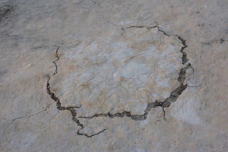 © Maria Oliveira - Image from the To Wander the Sea photography project