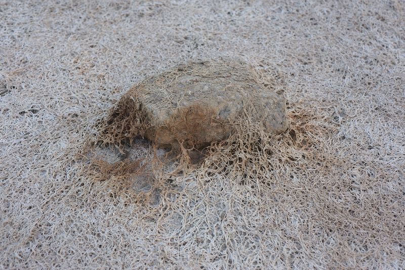 © Maria Oliveira - Image from the To Wander the Sea photography project