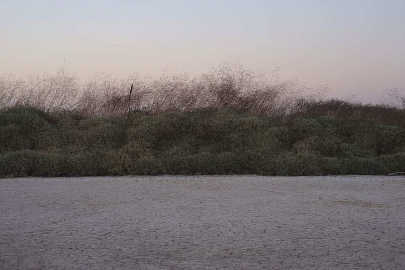 © Maria Oliveira - Image from the To Wander the Sea photography project