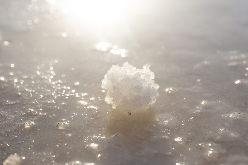 © Maria Oliveira - Image from the To Wander the Sea photography project