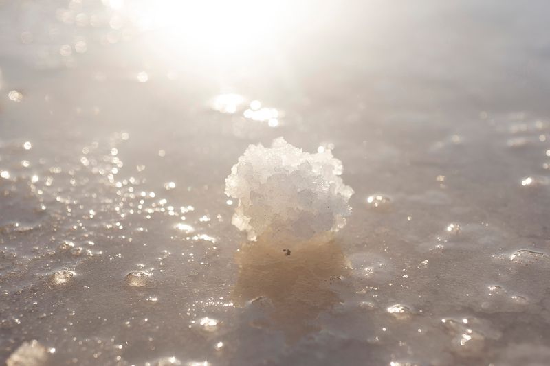 © Maria Oliveira - Image from the To Wander the Sea photography project