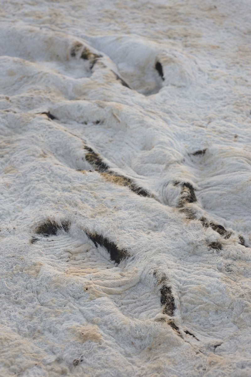 © Maria Oliveira - Image from the To Wander the Sea photography project