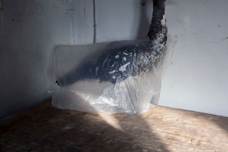 © Maria Oliveira - Image from the It’s still morning photography project