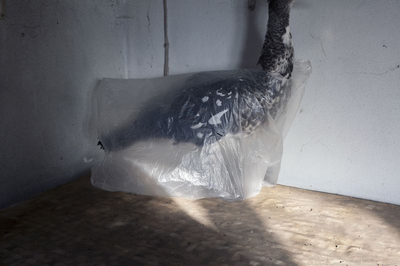 © Maria Oliveira - Image from the It’s still morning photography project