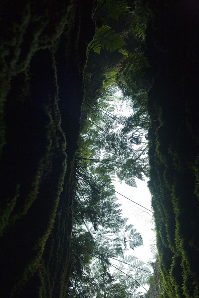 © Maria Oliveira - Image from the It’s still morning photography project