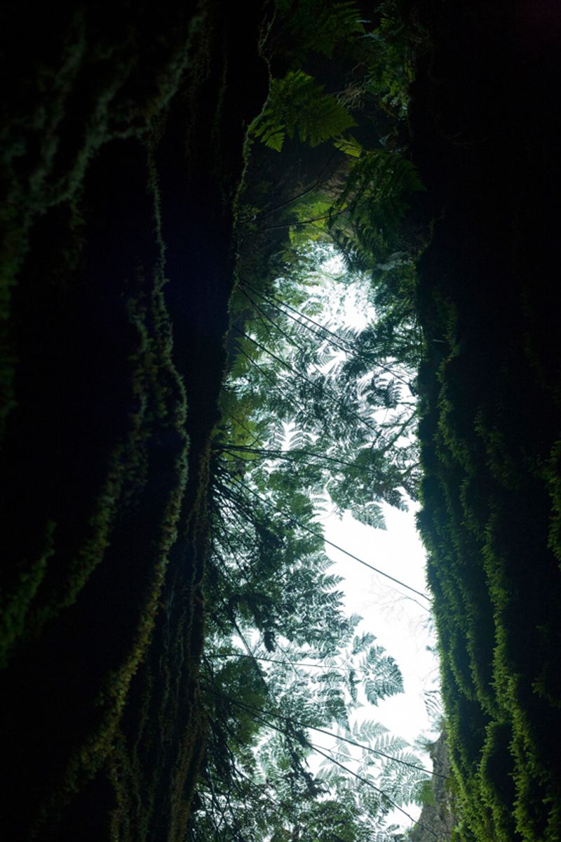 © Maria Oliveira - Image from the It’s still morning photography project