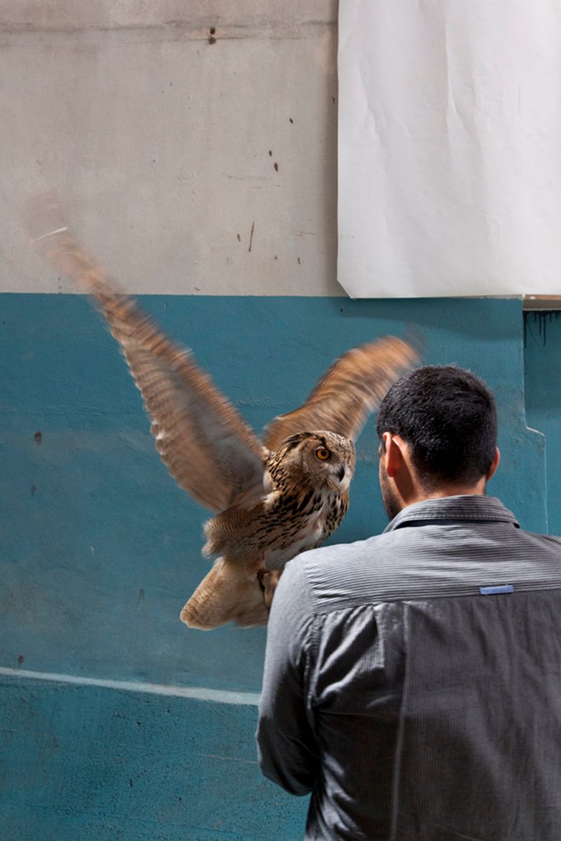 © Maria Oliveira - Image from the It’s still morning photography project