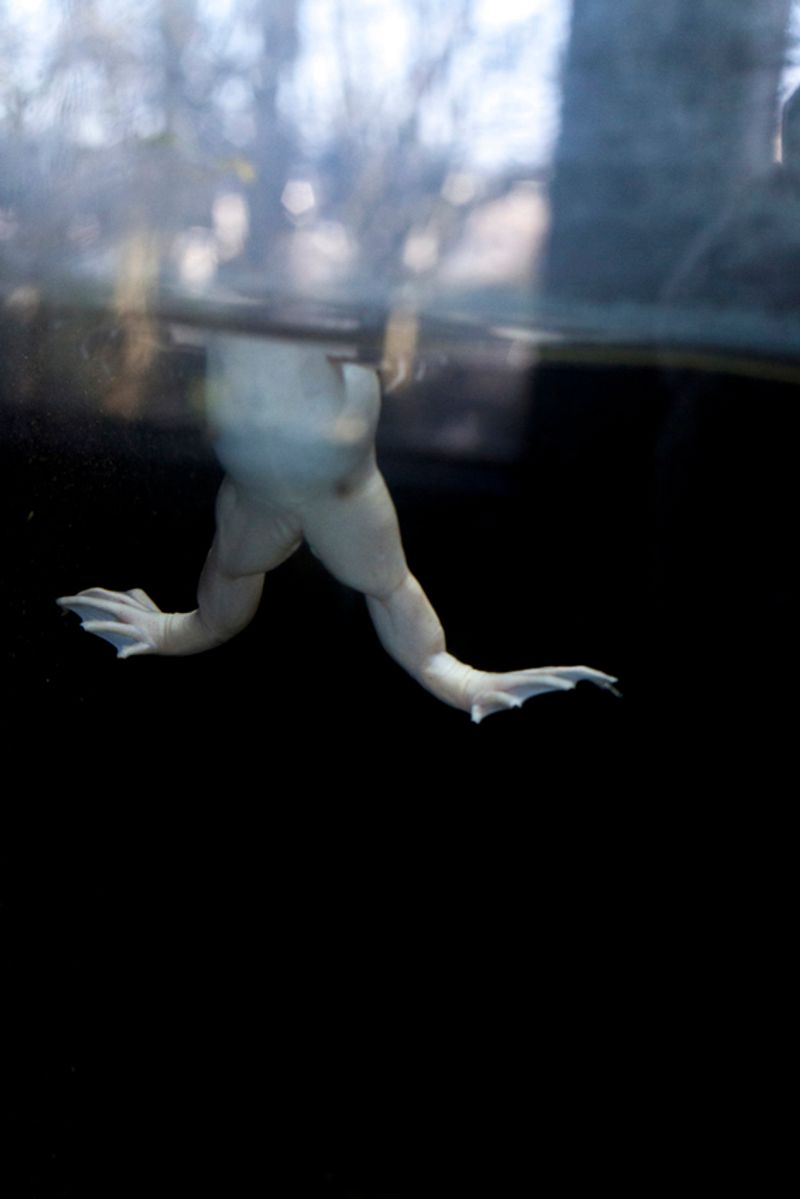 © Maria Oliveira - Image from the It’s still morning photography project