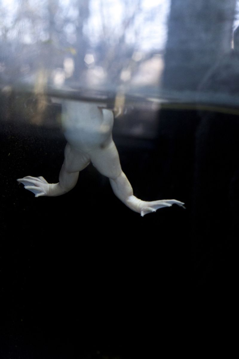 © Maria Oliveira - Image from the It’s still morning photography project