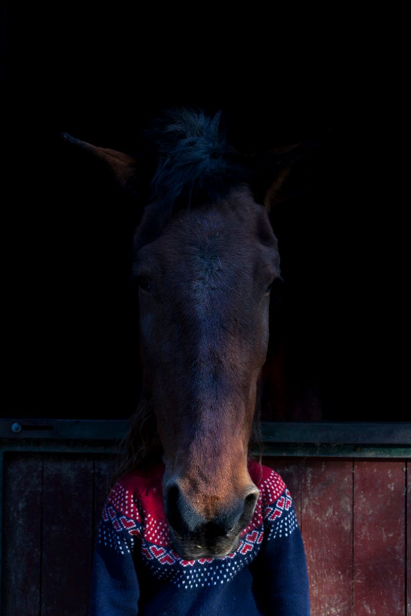 © Maria Oliveira - Image from the It’s still morning photography project