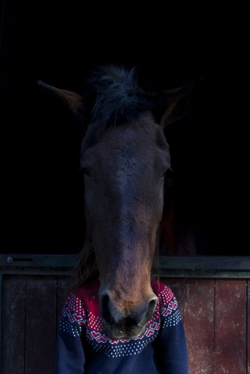 © Maria Oliveira - Image from the It’s still morning photography project