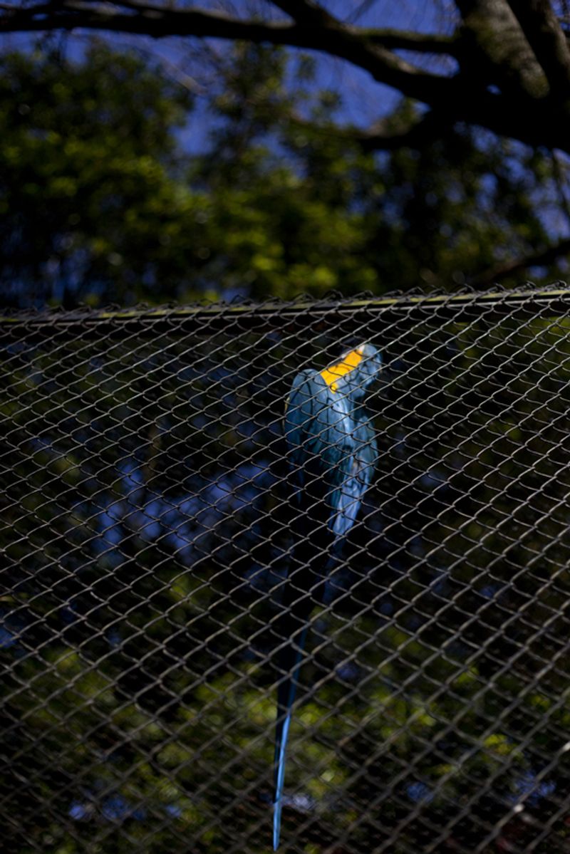 © Maria Oliveira - Image from the It’s still morning photography project