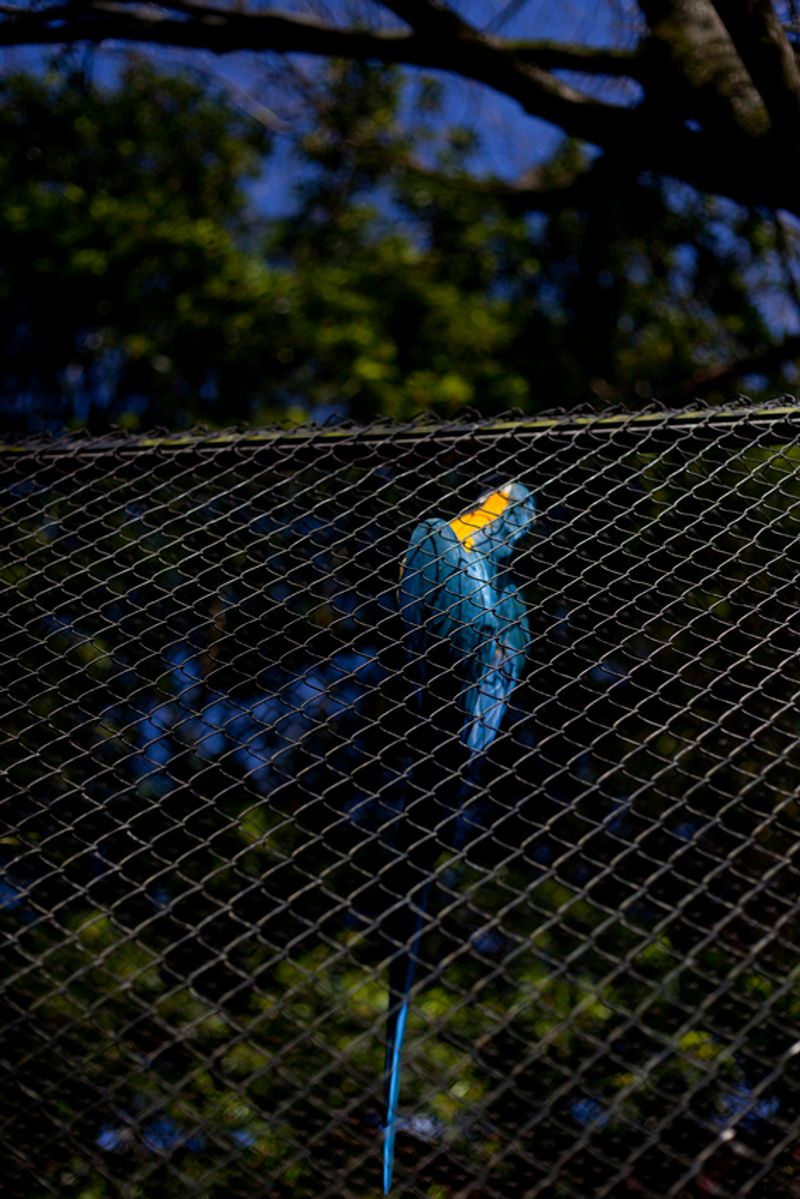 © Maria Oliveira - Image from the It’s still morning photography project