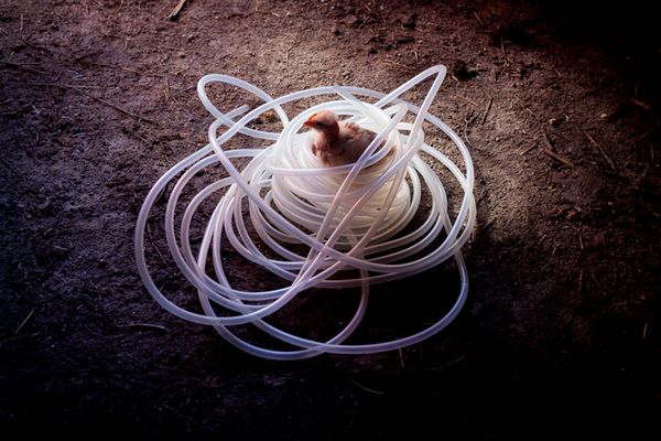 © Maria Oliveira - Image from the It’s still morning photography project