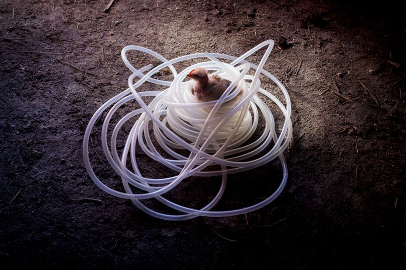 © Maria Oliveira - Image from the It’s still morning photography project