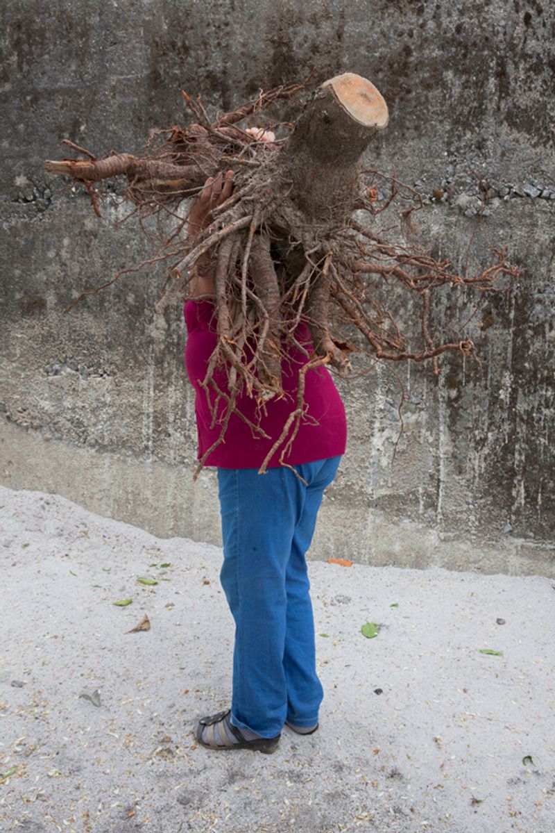 © Maria Oliveira - Image from the It’s still morning photography project