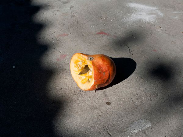 © Maria Oliveira - Image from the It’s still morning photography project