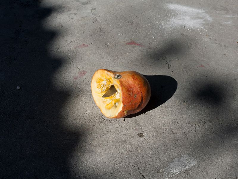 © Maria Oliveira - Image from the It’s still morning photography project
