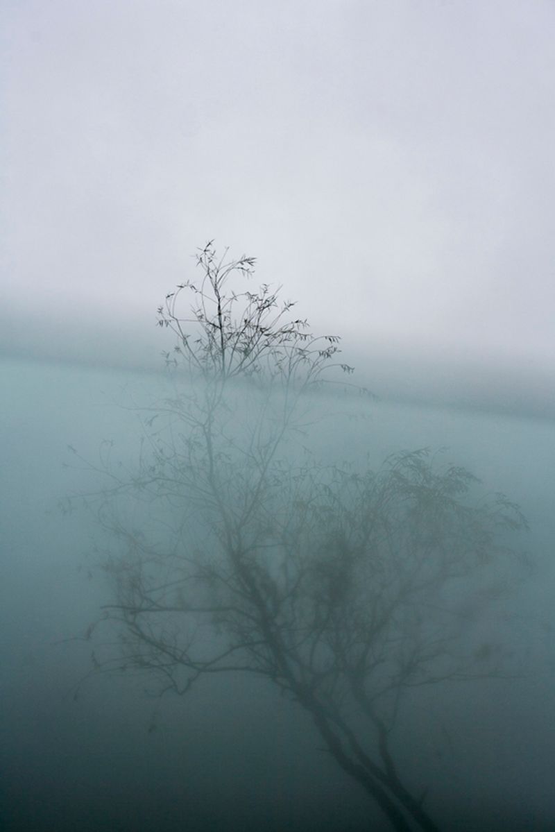 © Maria Oliveira - Image from the It’s still morning photography project