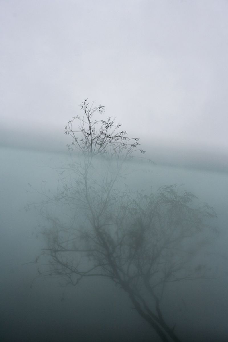 © Maria Oliveira - Image from the It’s still morning photography project