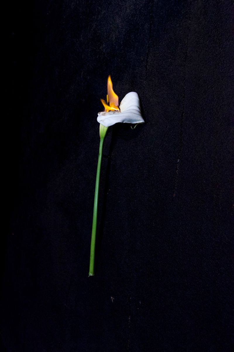 © Maria Oliveira - Image from the It’s still morning photography project