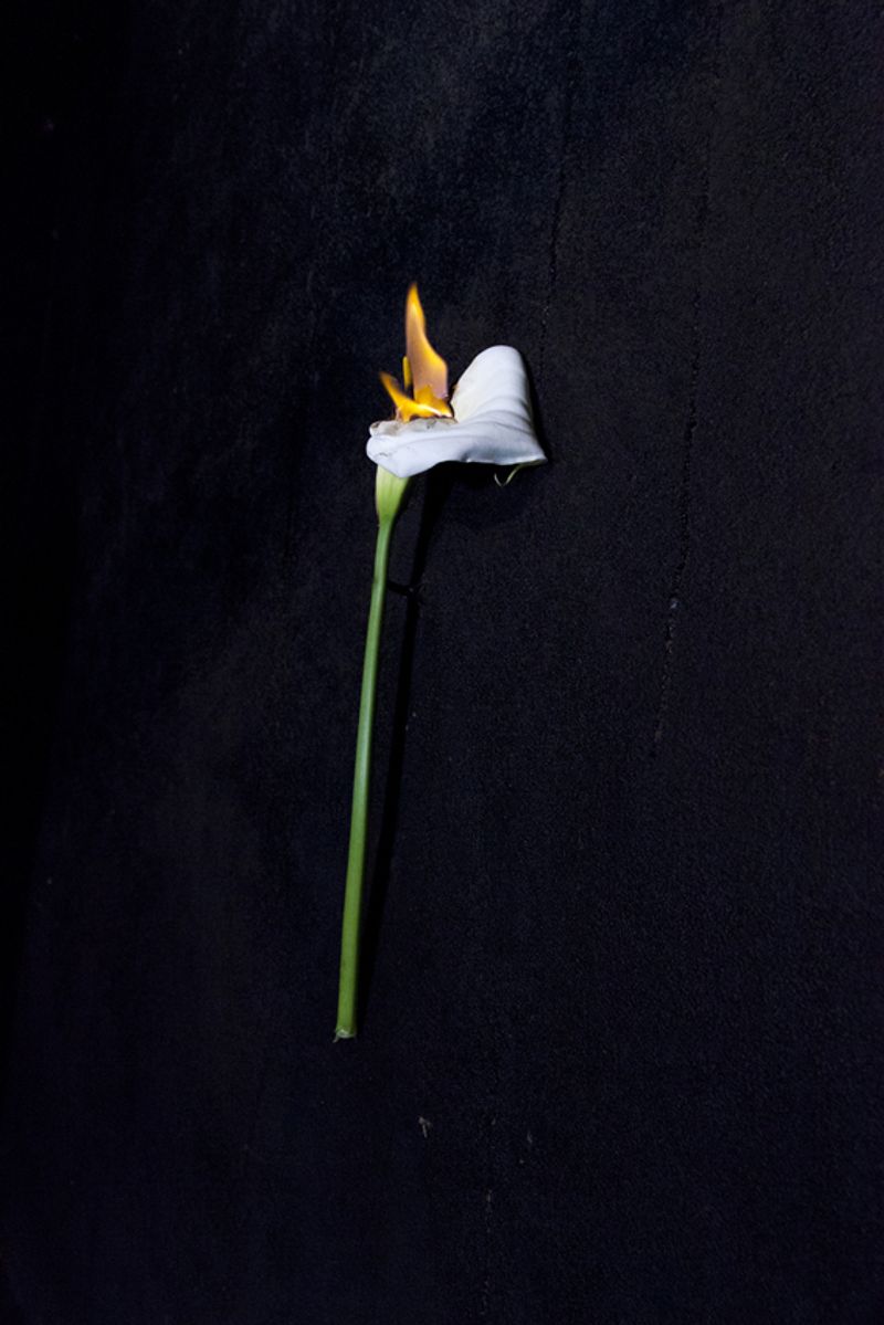 © Maria Oliveira - Image from the It’s still morning photography project