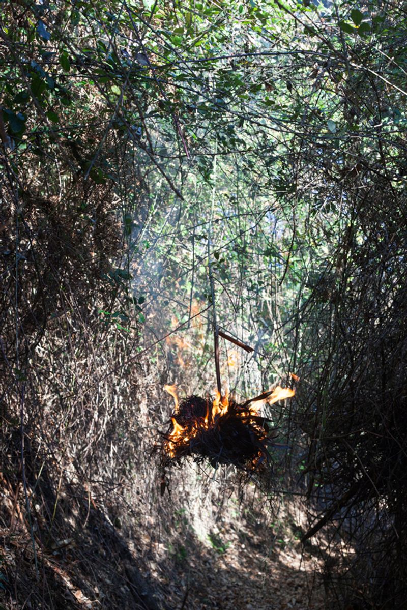 © Maria Oliveira - Image from the It’s still morning photography project