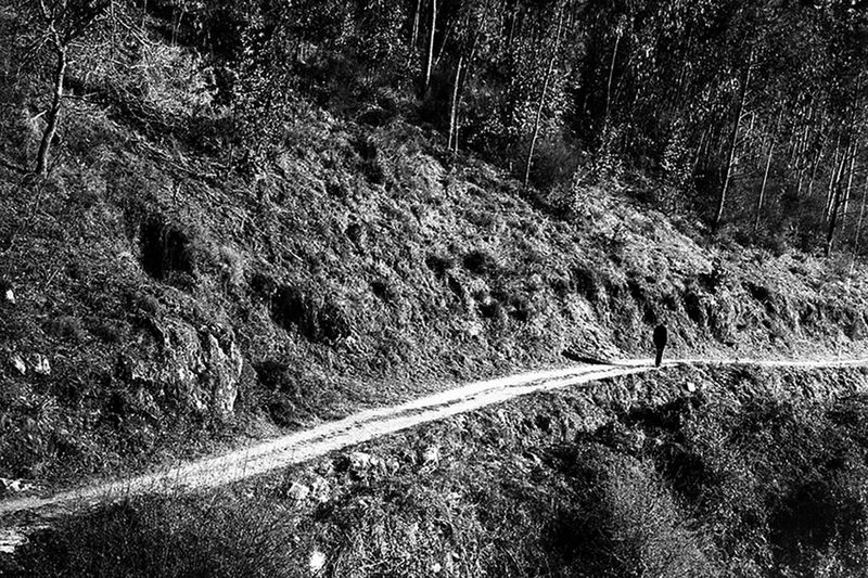 © Maria Oliveira - man going home, ponte de lima, portugal