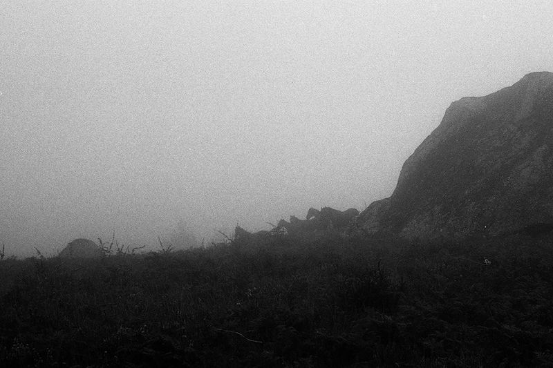 © Maria Oliveira - horses, ponte de lima, portugal