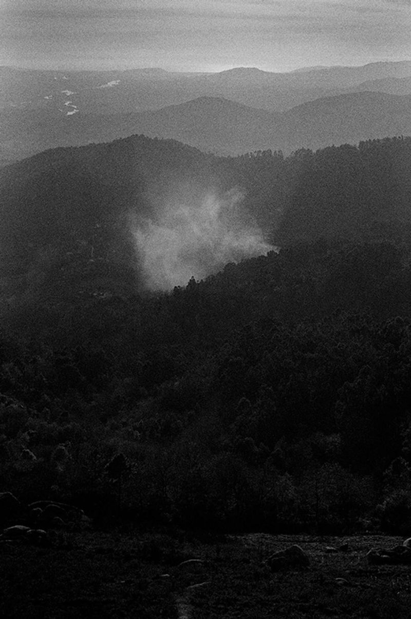 © Maria Oliveira - Image from the under the surveillance of ancient animals photography project