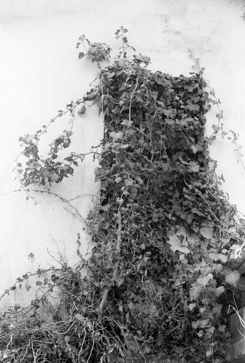 © Maria Oliveira - Image from the Leakage photography project