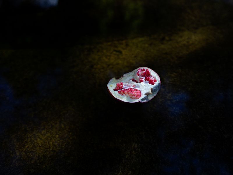 © Maria Oliveira - Image from the Leakage photography project