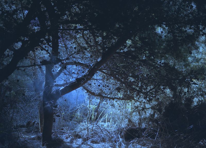 © Maria Oliveira - Image from the Bone Foam photography project