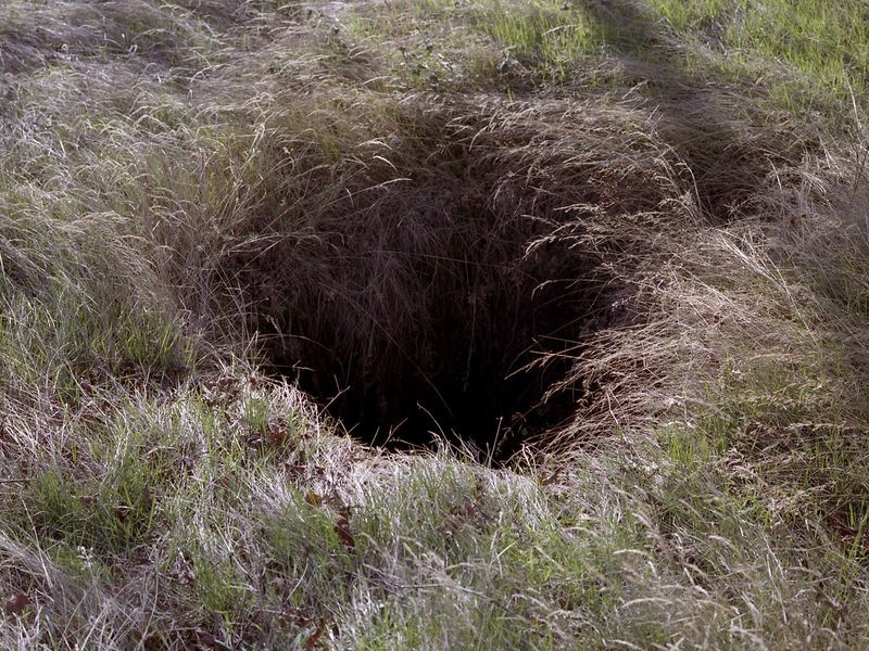 © Maria Oliveira - Image from the Bone Foam photography project